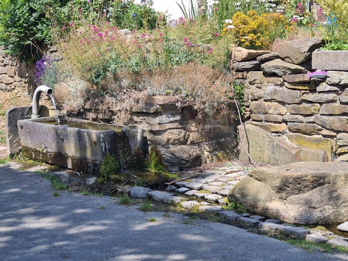 Apartmán La Petite Source Gouvy Exteriér fotografie